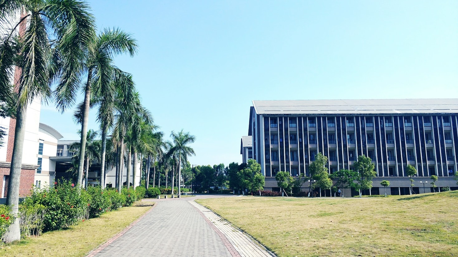 Mengenal Lebih Dekat Kurikulum Merdeka Belajar Terbaru